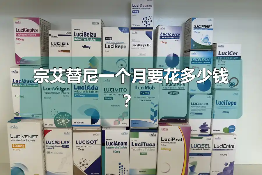 宗艾替尼一个月要花多少钱？
